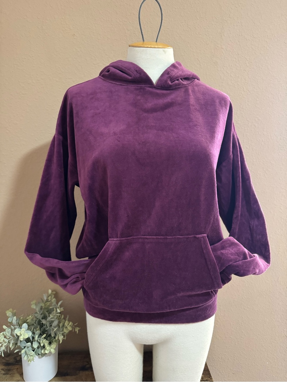 Juicy Couture Velvet Hoodie in Plum